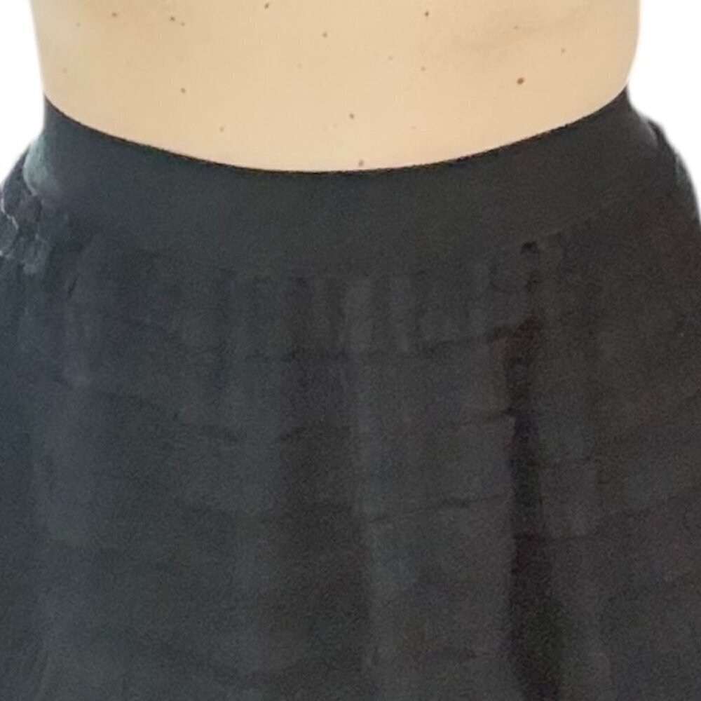 NWT Black Tulle Skirt- Fully Lined - Picture 7 of 7